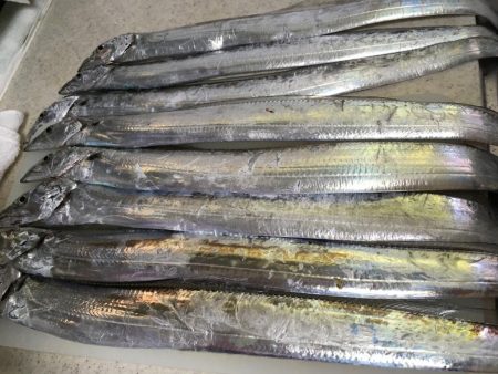 雨の中の太刀魚釣り